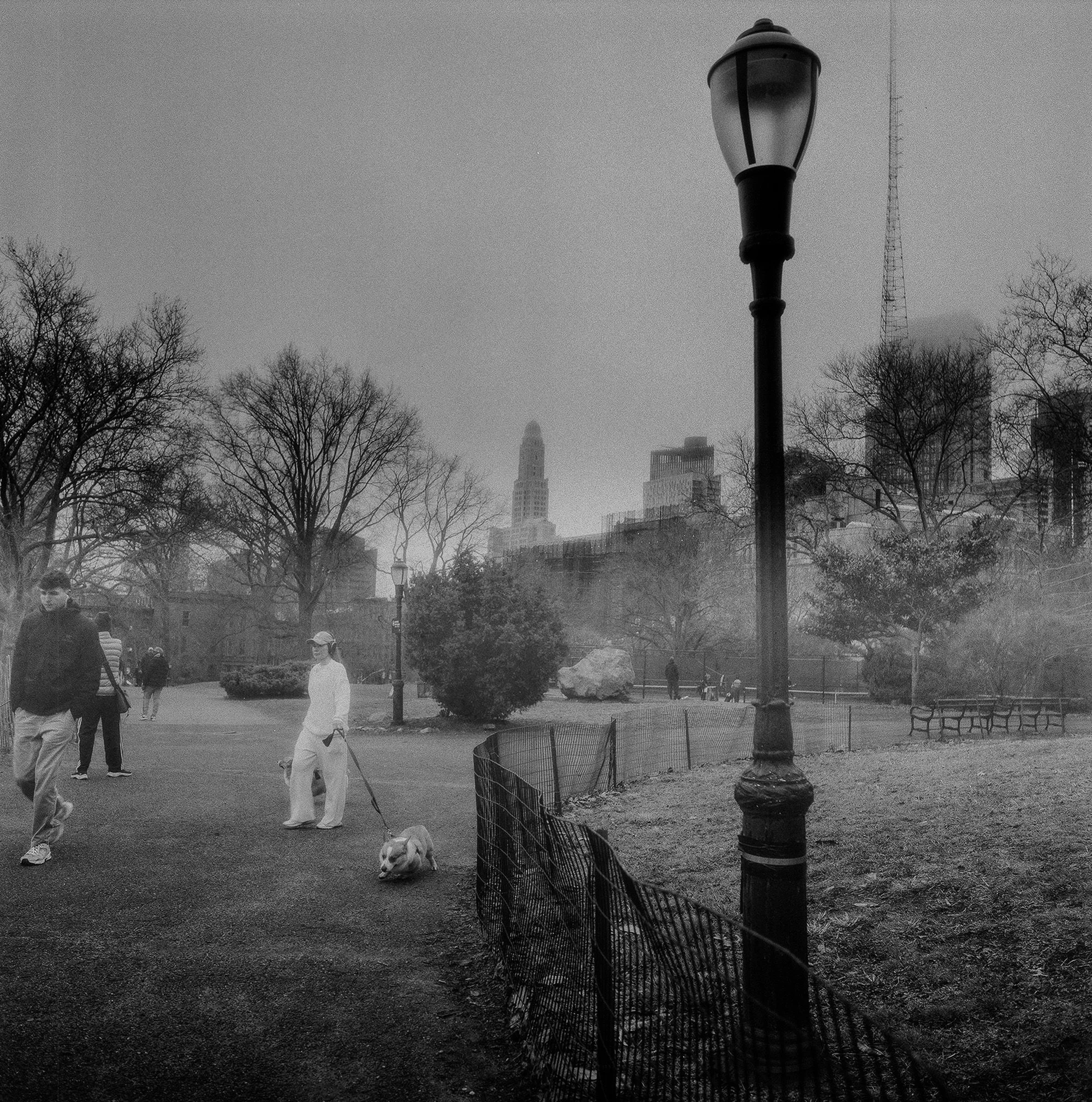 A lamp post and pedestrians in a foggy park